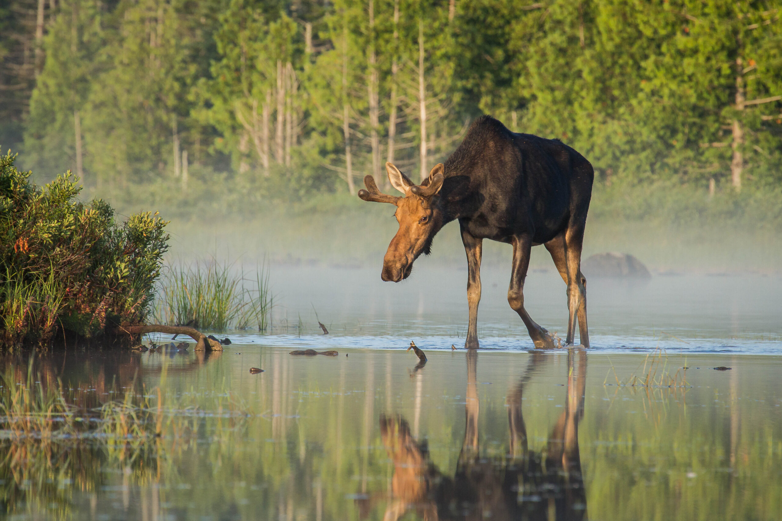 Presque Isle, Maine