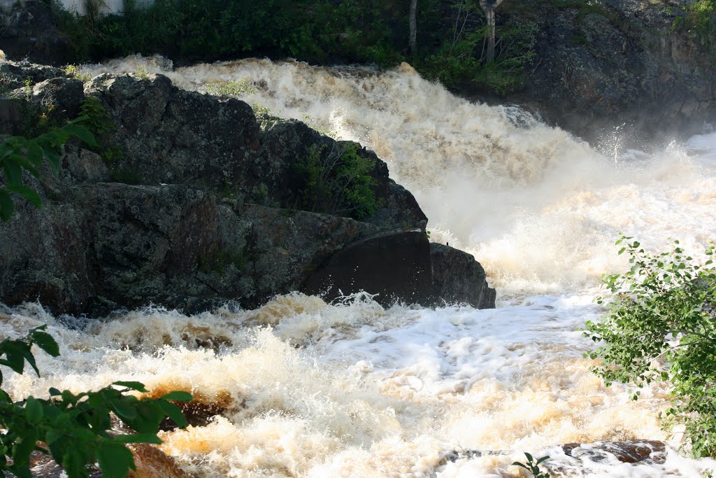 Things to do in Machias, Maine